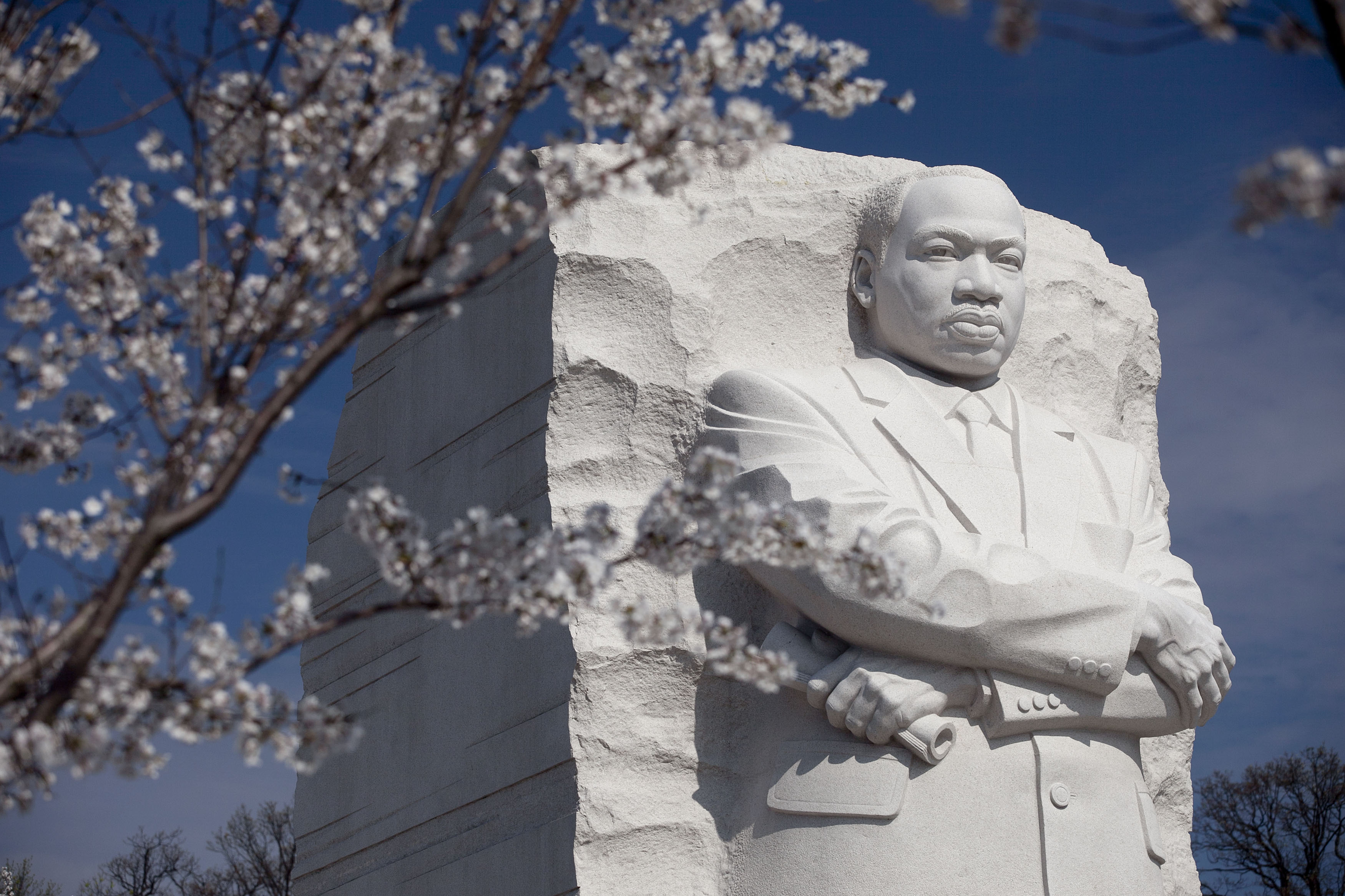 Message for the ages: Cherry trees blossom at the Martin Luther King Jr. Memorial near the Tidal Basin in Washington. | ANDREW HARRER / BLOOMBERG